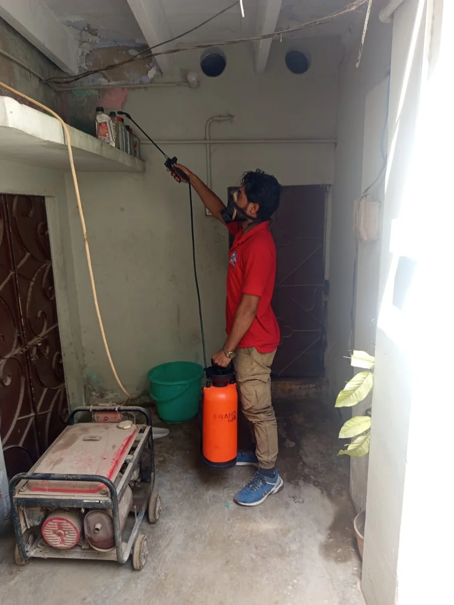 Reaching upper corners — Rana Jees Fumigation Services service team