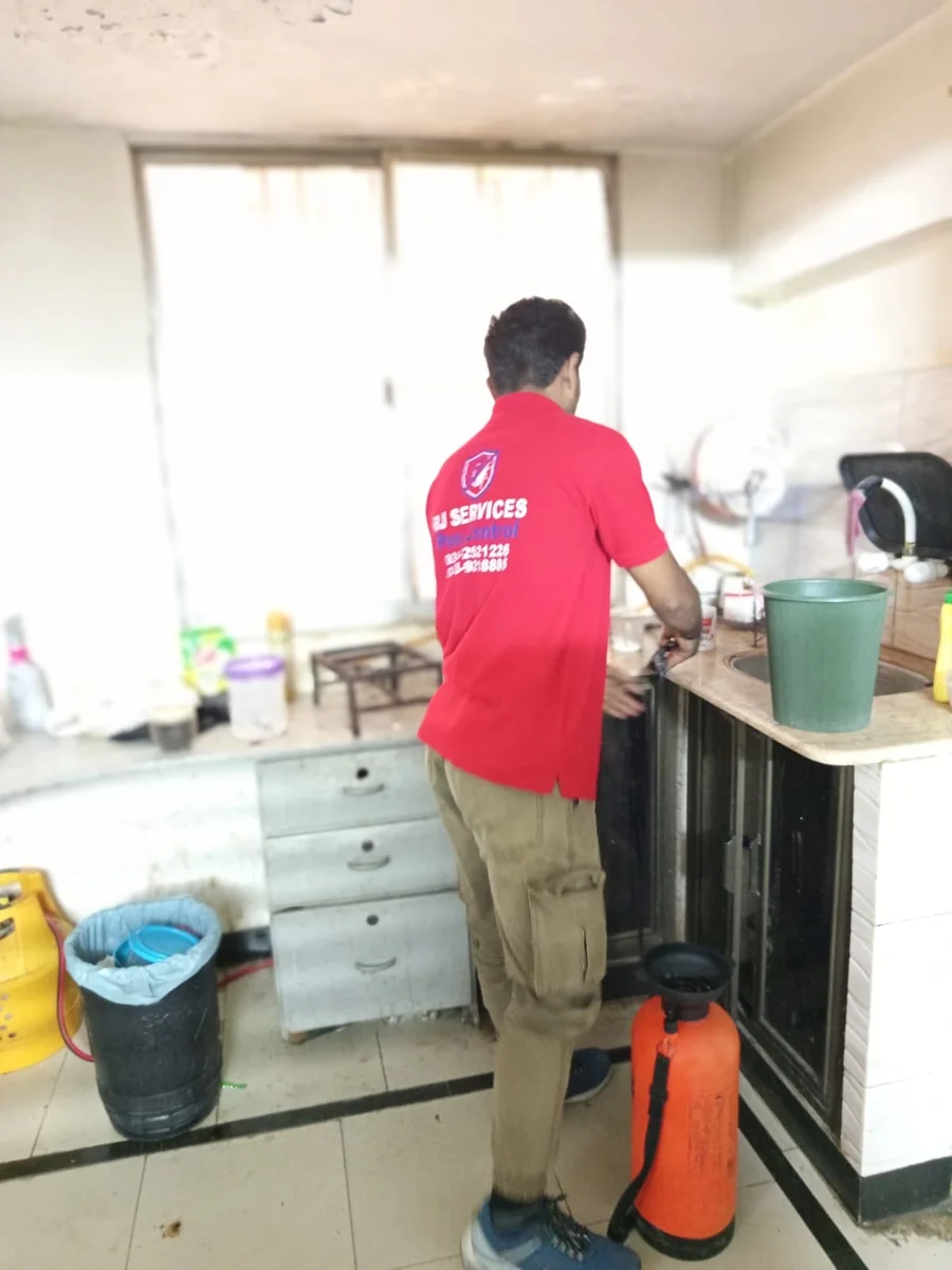 Kitchen service visit — Rana Jees Fumigation Services service team
